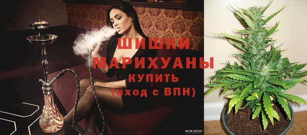 apvp Медвежьегорск