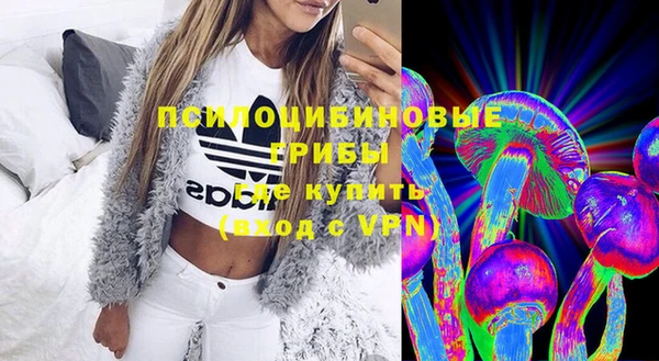 apvp Медвежьегорск