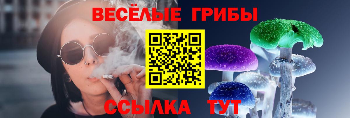 Муравленко  Псилоцибиновые грибы Cubensis  Вход с VPN 