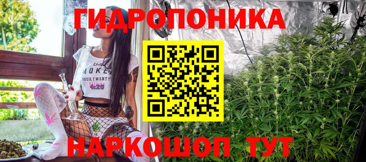 Каннабис AK-47  Бошки Шишки Ganja  Каннабис семена  Вход с VPN  Муравленко 